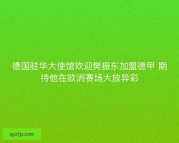 德国驻华大使馆欢迎樊振东加盟德甲 期待他在欧洲赛场大放异彩
